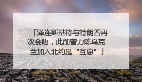 泽连斯基将与特朗普再次会晤，此前曾力陈乌克兰加入北约是“互惠”