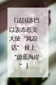法国涉巴以表态惹美大使“风凉话” 扯上“蔚蓝海岸”