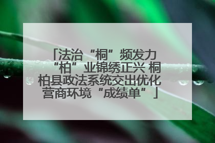 法治“桐”频发力 “柏”业锦绣正兴 桐柏县政法系统交出优化营商环境“成绩单”