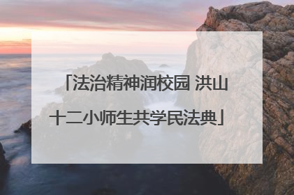 法治精神润校园 洪山十二小师生共学民法典