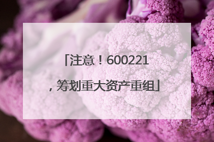 注意！600221，筹划重大资产重组