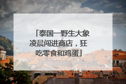 泰国一野生大象凌晨闯进商店，狂吃零食和鸡蛋