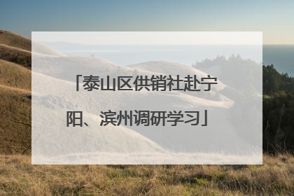 泰山区供销社赴宁阳、滨州调研学习