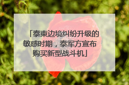 泰柬边境纠纷升级的敏感时期，泰军方宣布购买新型战斗机