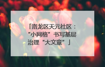 洛龙区天元社区：“小网格”书写基层治理“大文章”