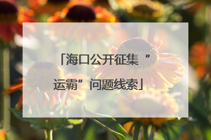 海口公开征集“运霸”问题线索