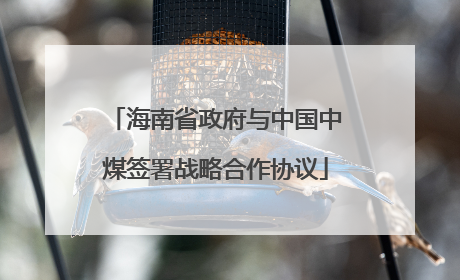 海南省政府与中国中煤签署战略合作协议
