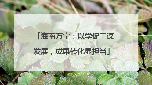 海南万宁：以学促干谋发展，成果转化显担当
