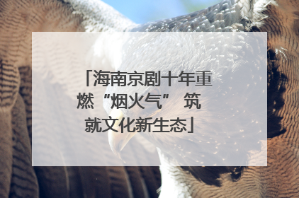 海南京剧十年重燃“烟火气” 筑就文化新生态