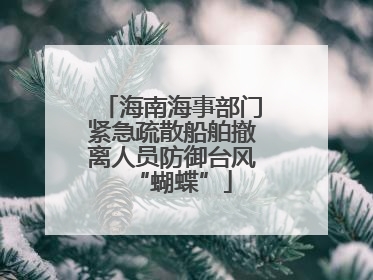 海南海事部门紧急疏散船舶撤离人员防御台风“蝴蝶”