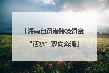 海南自贸港跨境资金“活水”双向奔涌