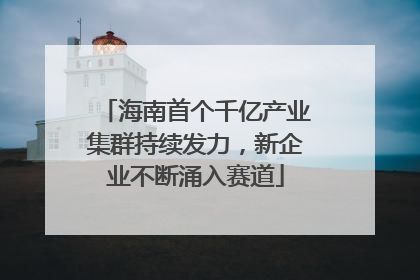 海南首个千亿产业集群持续发力，新企业不断涌入赛道