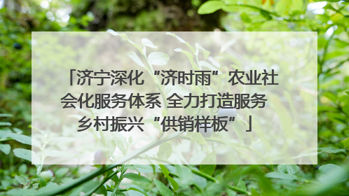 济宁深化“济时雨”农业社会化服务体系 全力打造服务乡村振兴“供销样板”