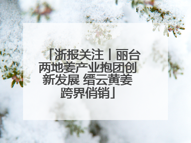 浙报关注丨丽台两地姜产业抱团创新发展 缙云黄姜跨界俏销
