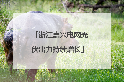 浙江嘉兴电网光伏出力持续增长
