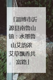 淄博市沂源县南鲁山镇：水墨鲁山艾韵浓 艾草飘香共富路