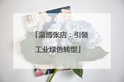 淄博张店：引领工业绿色转型