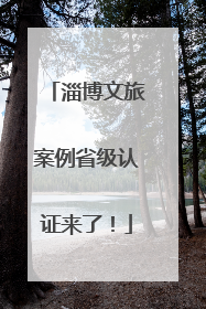 淄博文旅案例省级认证来了！
