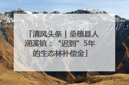 清风头条｜桑植县人潮溪镇：“迟到”5年的生态林补偿金