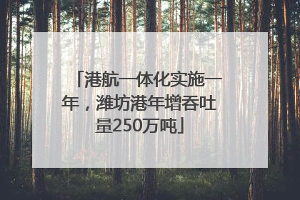 港航一体化实施一年，潍坊港年增吞吐量250万吨