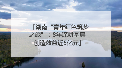 湖南“青年红色筑梦之旅”：8年深耕基层创造效益近5亿元