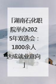 湖南石化职院举办2025年双选会：1800余人达成就业意向