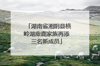 湖南省湘阴县横岭湖麋鹿家族再添三名新成员