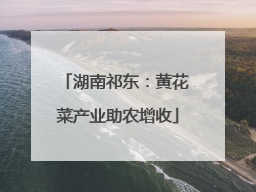 湖南祁东：黄花菜产业助农增收