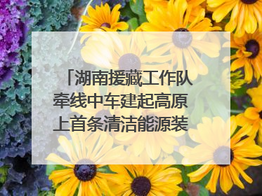 湖南援藏工作队牵线中车建起高原上首条清洁能源装配产线，本地大学生成车间检验员