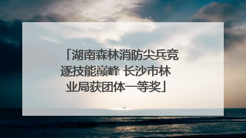 湖南森林消防尖兵竞逐技能巅峰 长沙市林业局获团体一等奖