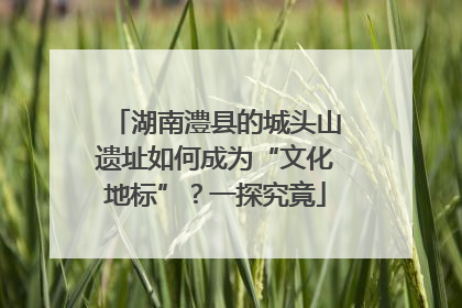 湖南澧县的城头山遗址如何成为“文化地标”？一探究竟