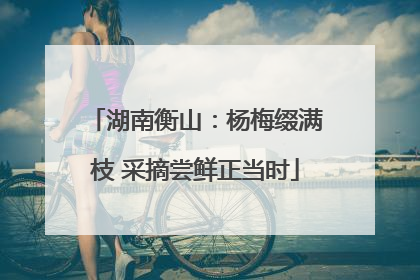 湖南衡山：杨梅缀满枝 采摘尝鲜正当时