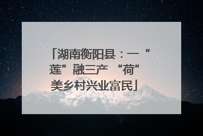湖南衡阳县：一“莲”融三产 “荷”美乡村兴业富民