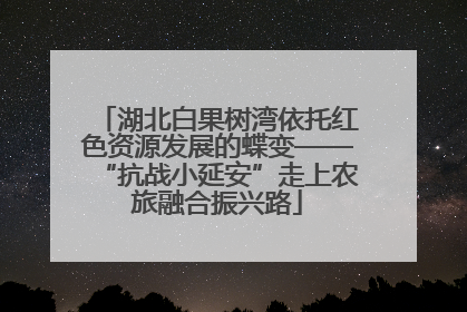 湖北白果树湾依托红色资源发展的蝶变——“抗战小延安”走上农旅融合振兴路
