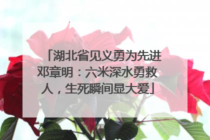湖北省见义勇为先进邓章明：六米深水勇救人，生死瞬间显大爱