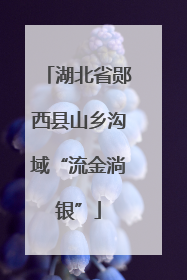 湖北省郧西县山乡沟域“流金淌银”