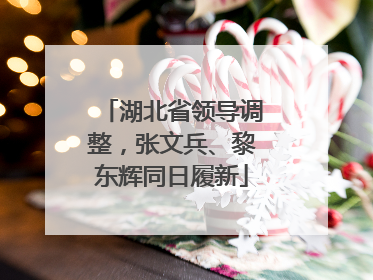 湖北省领导调整，张文兵、黎东辉同日履新