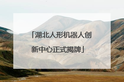 湖北人形机器人创新中心正式揭牌