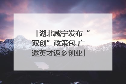 湖北咸宁发布“双创”政策包 广邀英才返乡创业