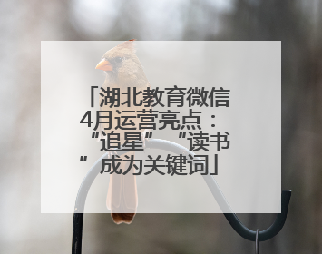 湖北教育微信4月运营亮点：“追星”“读书”成为关键词
