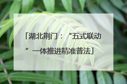 湖北荆门：“五式联动”一体推进精准普法