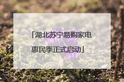 湖北苏宁易购家电惠民季正式启动