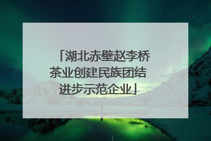 湖北赤壁赵李桥茶业创建民族团结进步示范企业