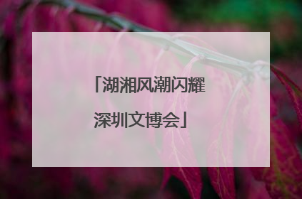 湖湘风潮闪耀深圳文博会