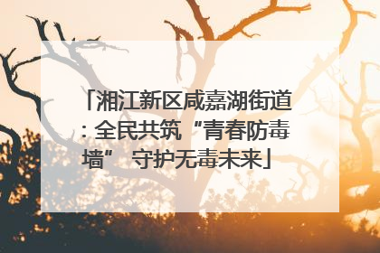 湘江新区咸嘉湖街道：全民共筑“青春防毒墙” 守护无毒未来