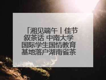 湘见端午丨佳节叙茶话 中南大学国际学生国情教育基地落户湖南省茶叶博物馆