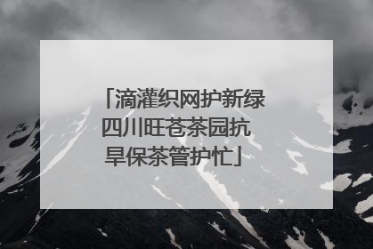 滴灌织网护新绿 四川旺苍茶园抗旱保茶管护忙