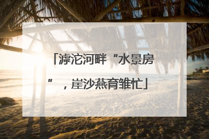 滹沱河畔“水景房”，崖沙燕育雏忙