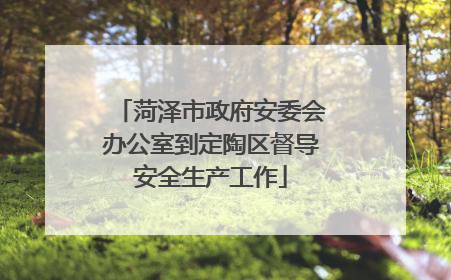 菏泽市政府安委会办公室到定陶区督导安全生产工作