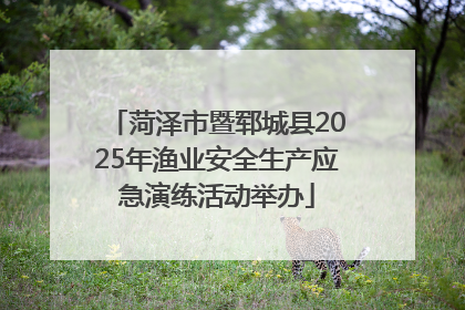 菏泽市暨郓城县2025年渔业安全生产应急演练活动举办